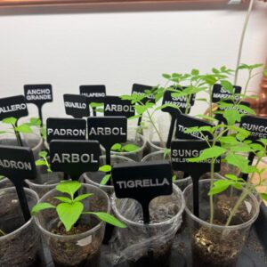 Namnskyltar till odling