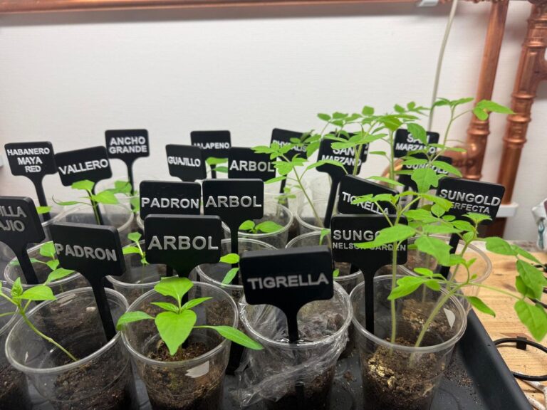 Namnskyltar till odling